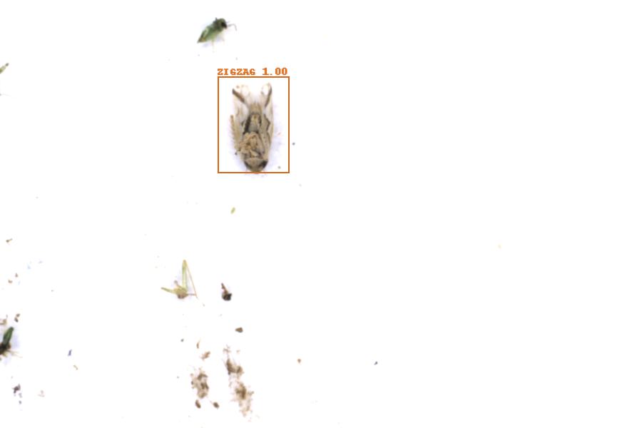 Image 12